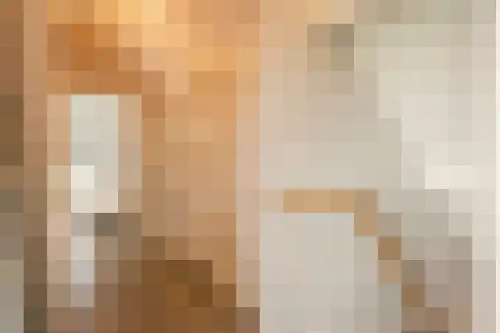 L. Dolfingweg 2 Steenderen thumbnail 15