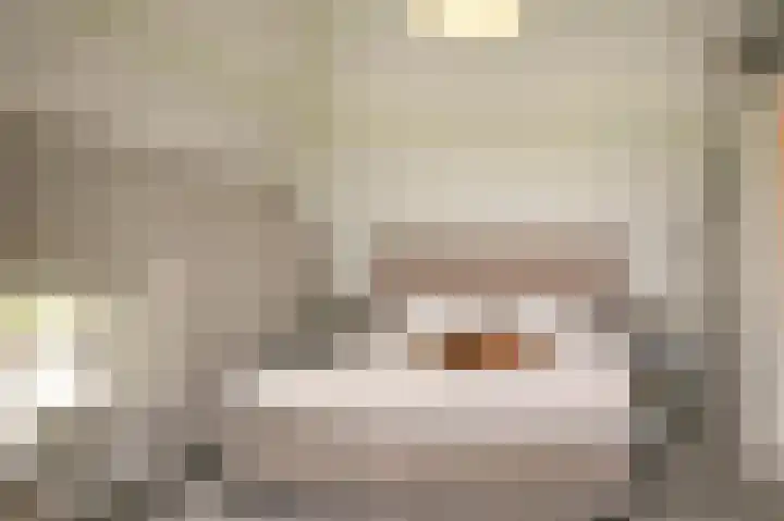 L. Dolfingweg 2 Steenderen thumbnail 16