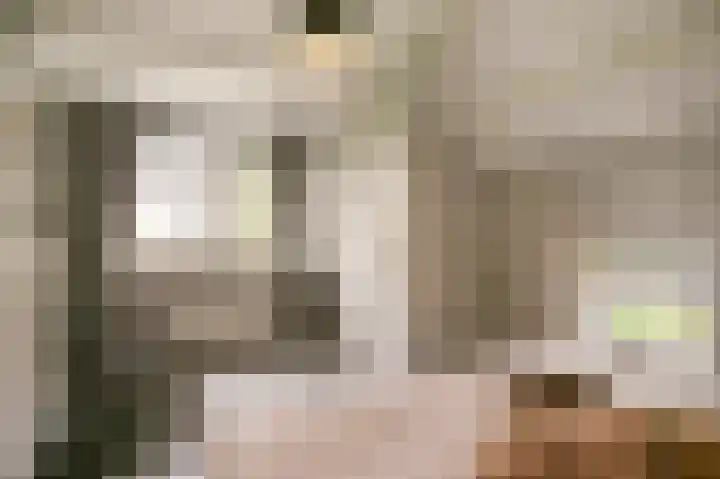 L. Dolfingweg 2 Steenderen thumbnail 17