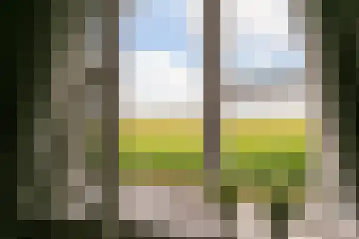 L. Dolfingweg 2 Steenderen thumbnail 18