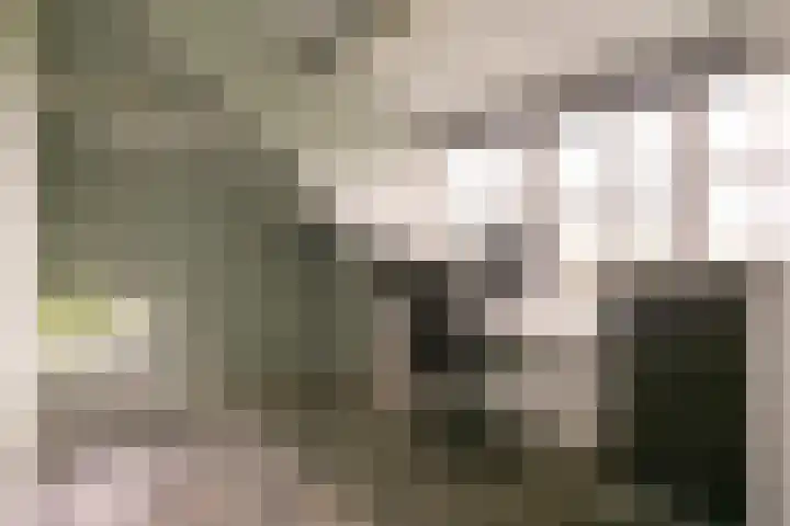 L. Dolfingweg 2 Steenderen thumbnail 19