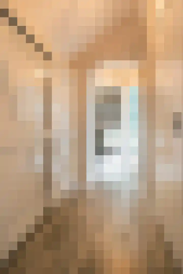 L. Dolfingweg 2 Steenderen thumbnail 21