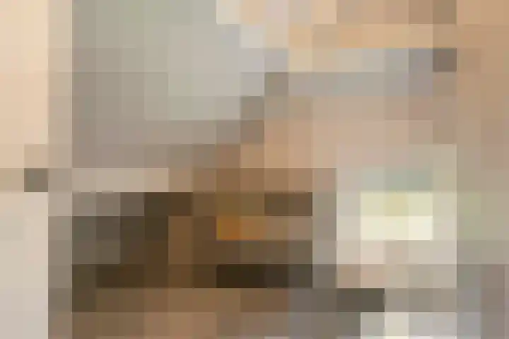 L. Dolfingweg 2 Steenderen thumbnail 22
