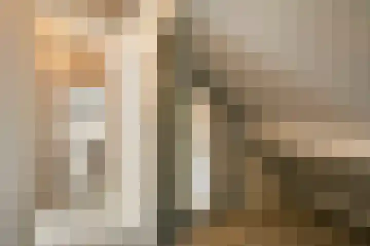 L. Dolfingweg 2 Steenderen thumbnail 23
