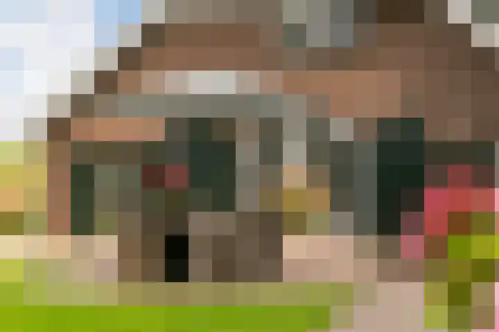 L. Dolfingweg 2 Steenderen thumbnail 27