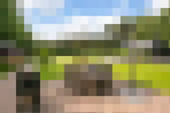 L. Dolfingweg 2 Steenderen thumbnail 28