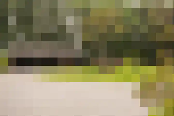 L. Dolfingweg 2 Steenderen thumbnail 29