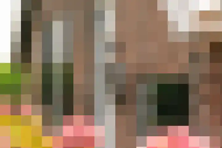L. Dolfingweg 2 Steenderen thumbnail 32