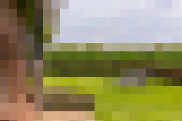 L. Dolfingweg 2 Steenderen thumbnail 33