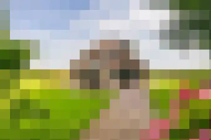 L. Dolfingweg 2 Steenderen thumbnail 34
