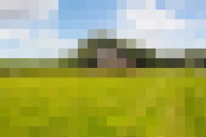 L. Dolfingweg 2 Steenderen thumbnail 36