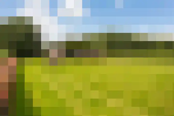 L. Dolfingweg 2 Steenderen thumbnail 37