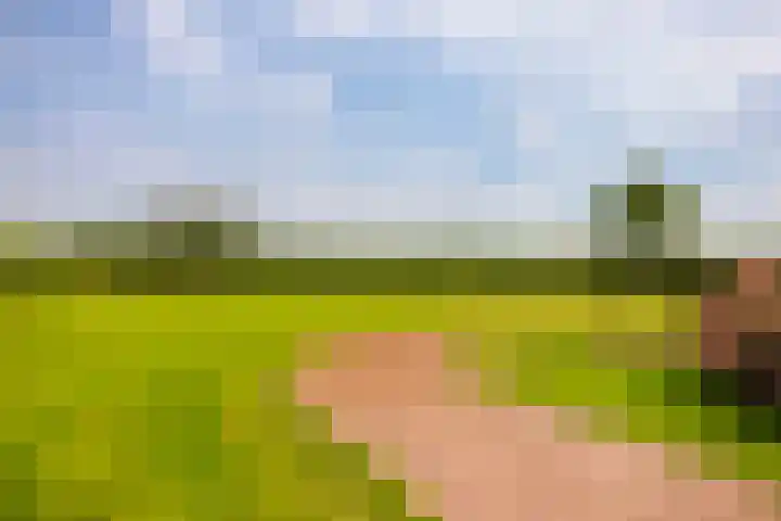L. Dolfingweg 2 Steenderen thumbnail 38