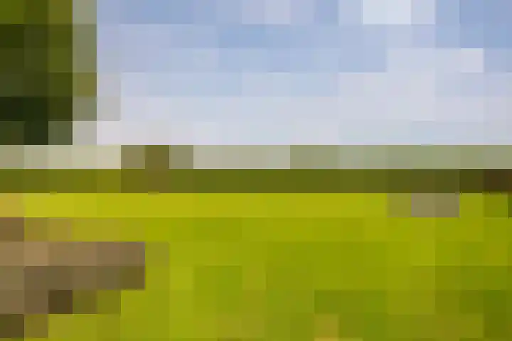 L. Dolfingweg 2 Steenderen thumbnail 39
