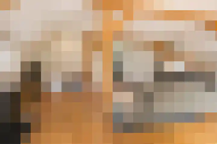 L. Dolfingweg 2 Steenderen thumbnail 4