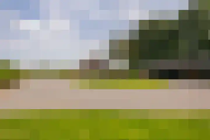 L. Dolfingweg 2 Steenderen thumbnail 41