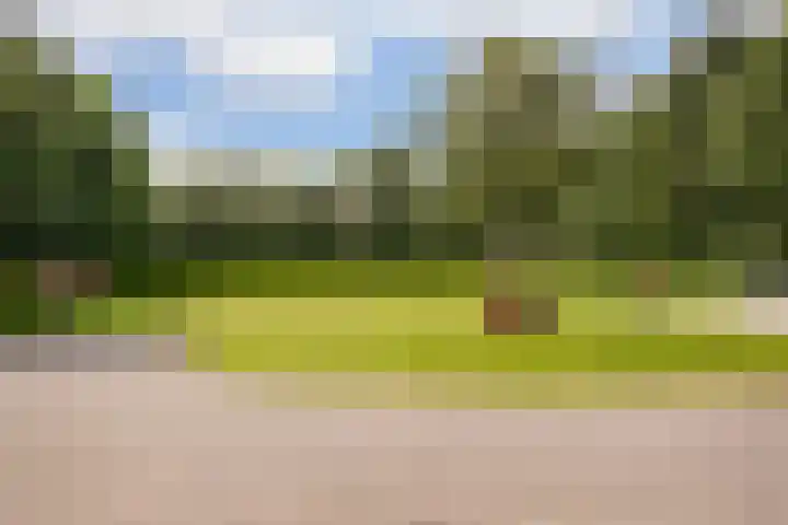 L. Dolfingweg 2 Steenderen thumbnail 42
