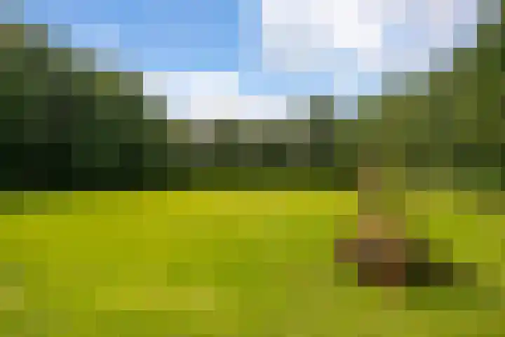 L. Dolfingweg 2 Steenderen thumbnail 43