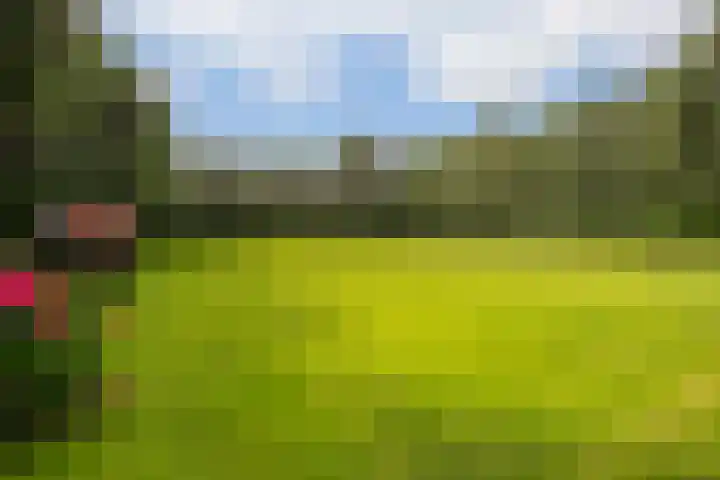 L. Dolfingweg 2 Steenderen thumbnail 44