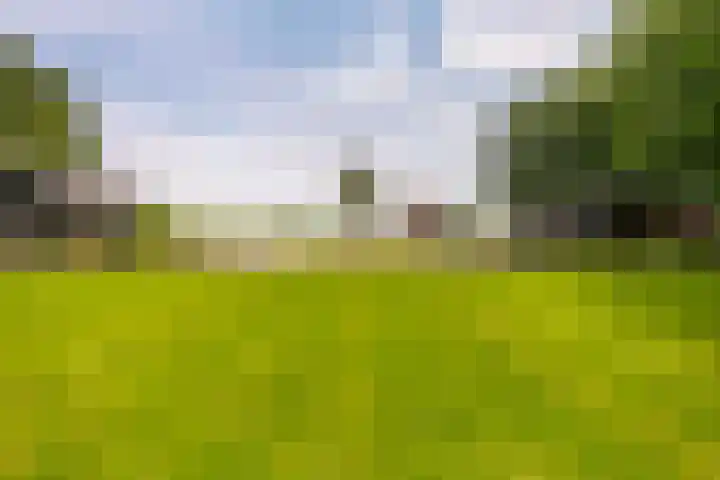 L. Dolfingweg 2 Steenderen thumbnail 45
