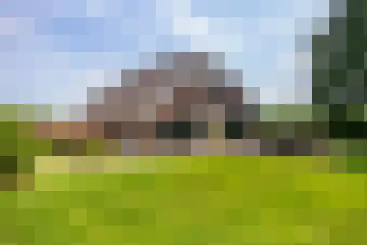 L. Dolfingweg 2 Steenderen thumbnail 46