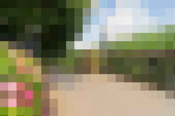 L. Dolfingweg 2 Steenderen thumbnail 47