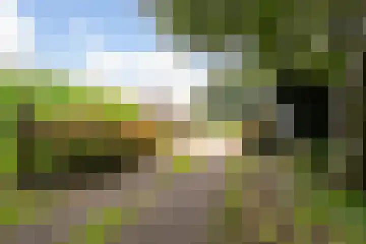 L. Dolfingweg 2 Steenderen thumbnail 48