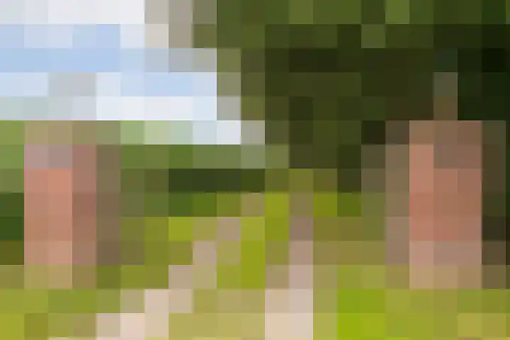 L. Dolfingweg 2 Steenderen thumbnail 49