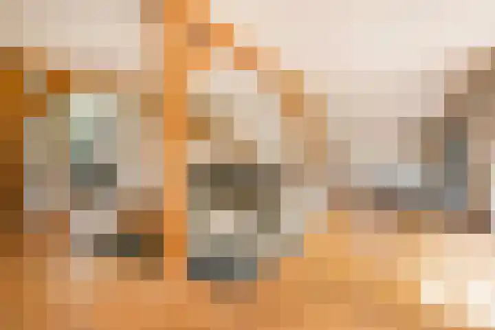 L. Dolfingweg 2 Steenderen thumbnail 5