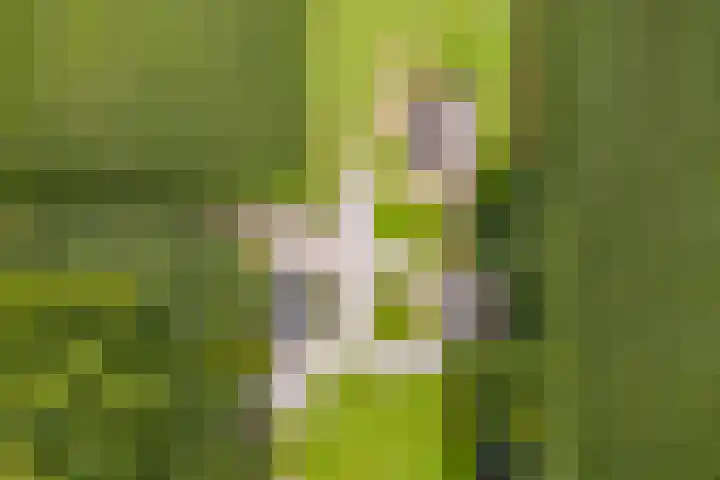 L. Dolfingweg 2 Steenderen thumbnail 50