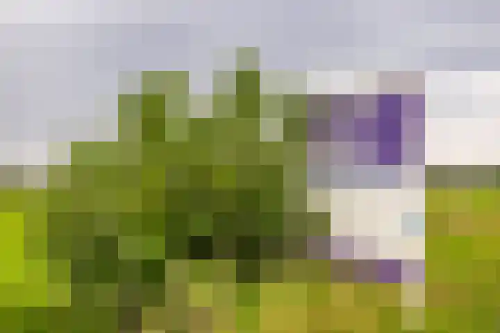 L. Dolfingweg 2 Steenderen thumbnail 51