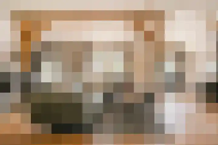 L. Dolfingweg 2 Steenderen thumbnail 6
