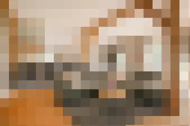 L. Dolfingweg 2 Steenderen thumbnail 8