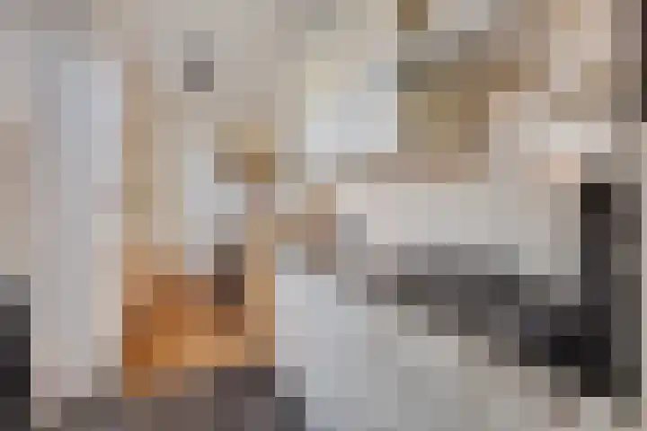 L.H. Pottstraat 11 Olst thumbnail 10