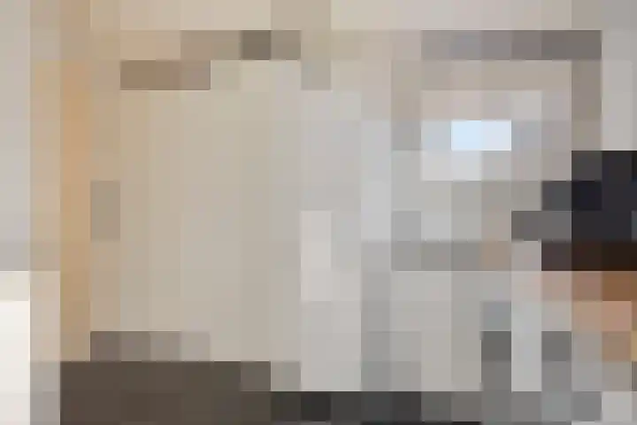 L.H. Pottstraat 11 Olst thumbnail 13