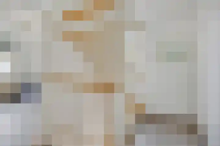 L.H. Pottstraat 11 Olst thumbnail 14