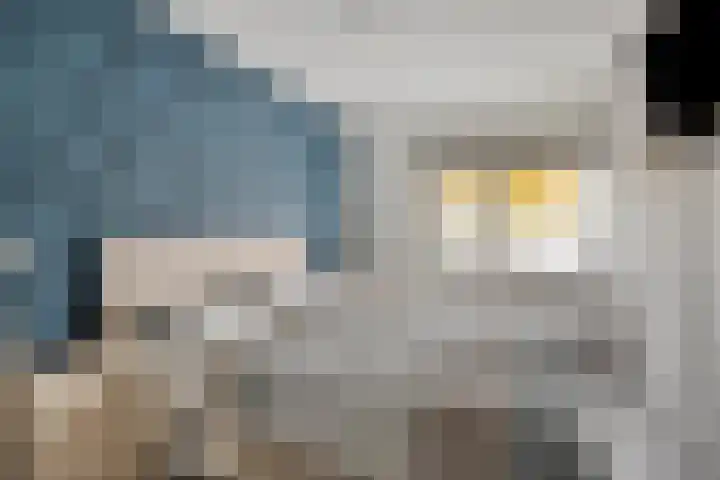 L.H. Pottstraat 11 Olst thumbnail 15