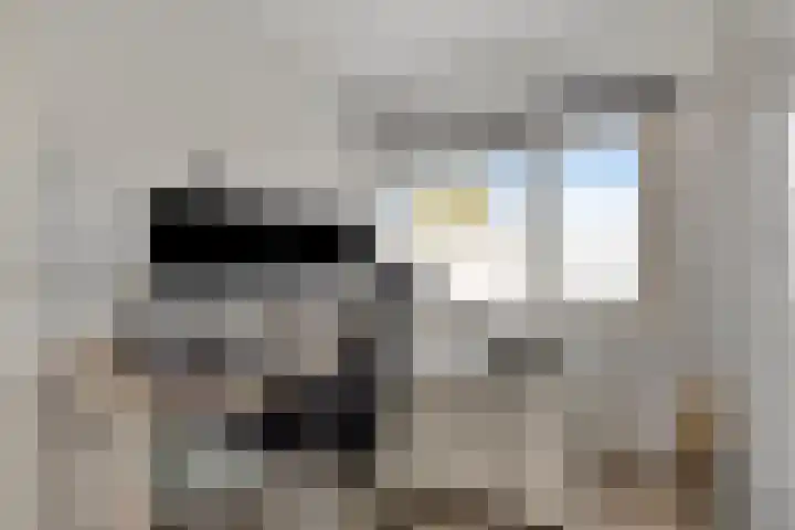 L.H. Pottstraat 11 Olst thumbnail 18