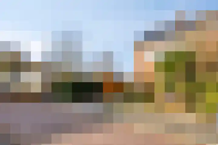 L.H. Pottstraat 11 Olst thumbnail 23