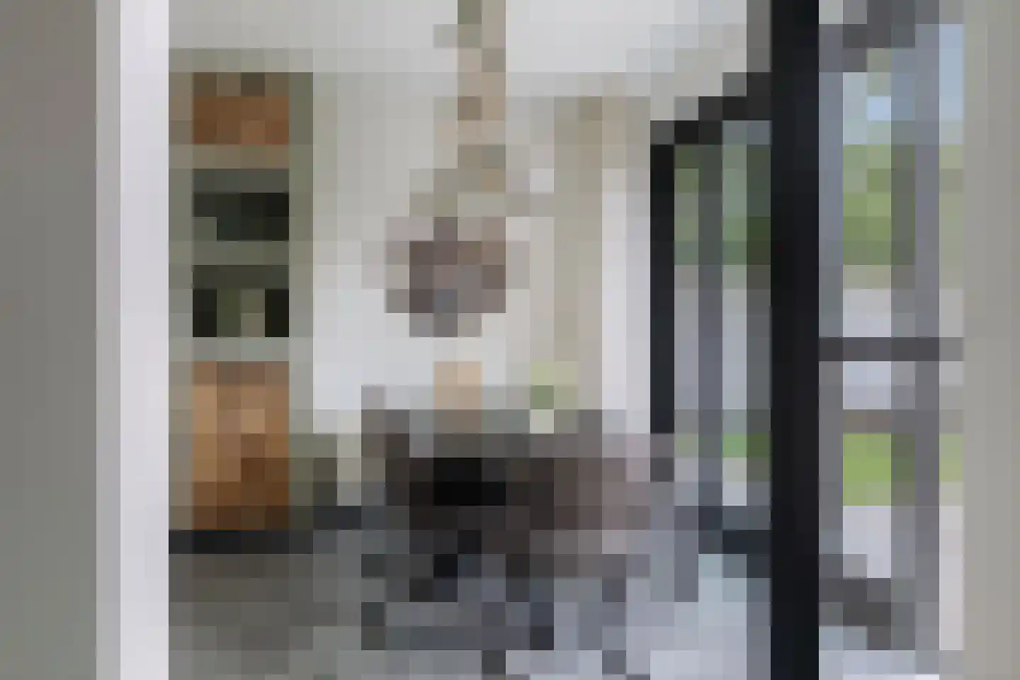 L.H. Pottstraat 7 Olst thumbnail 10