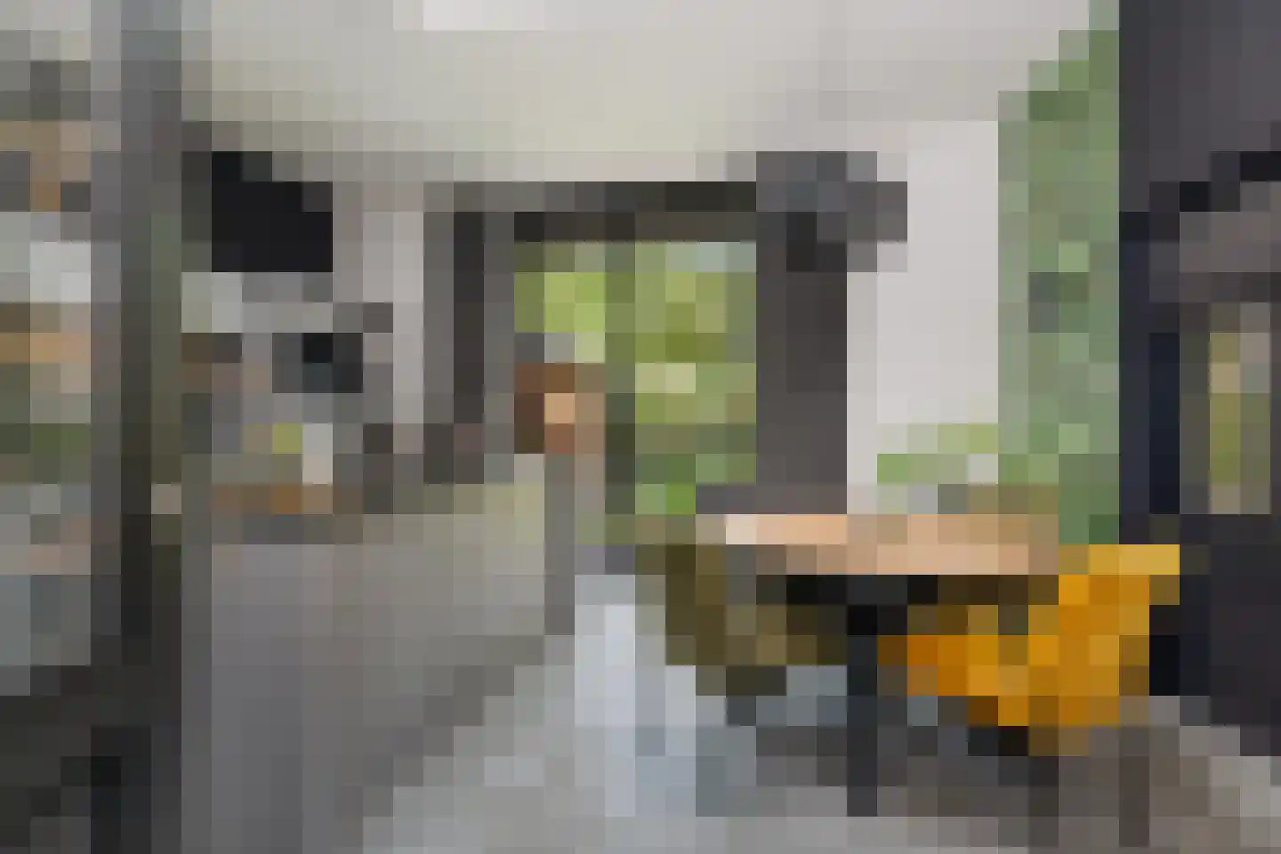 L.H. Pottstraat 7 Olst thumbnail 13