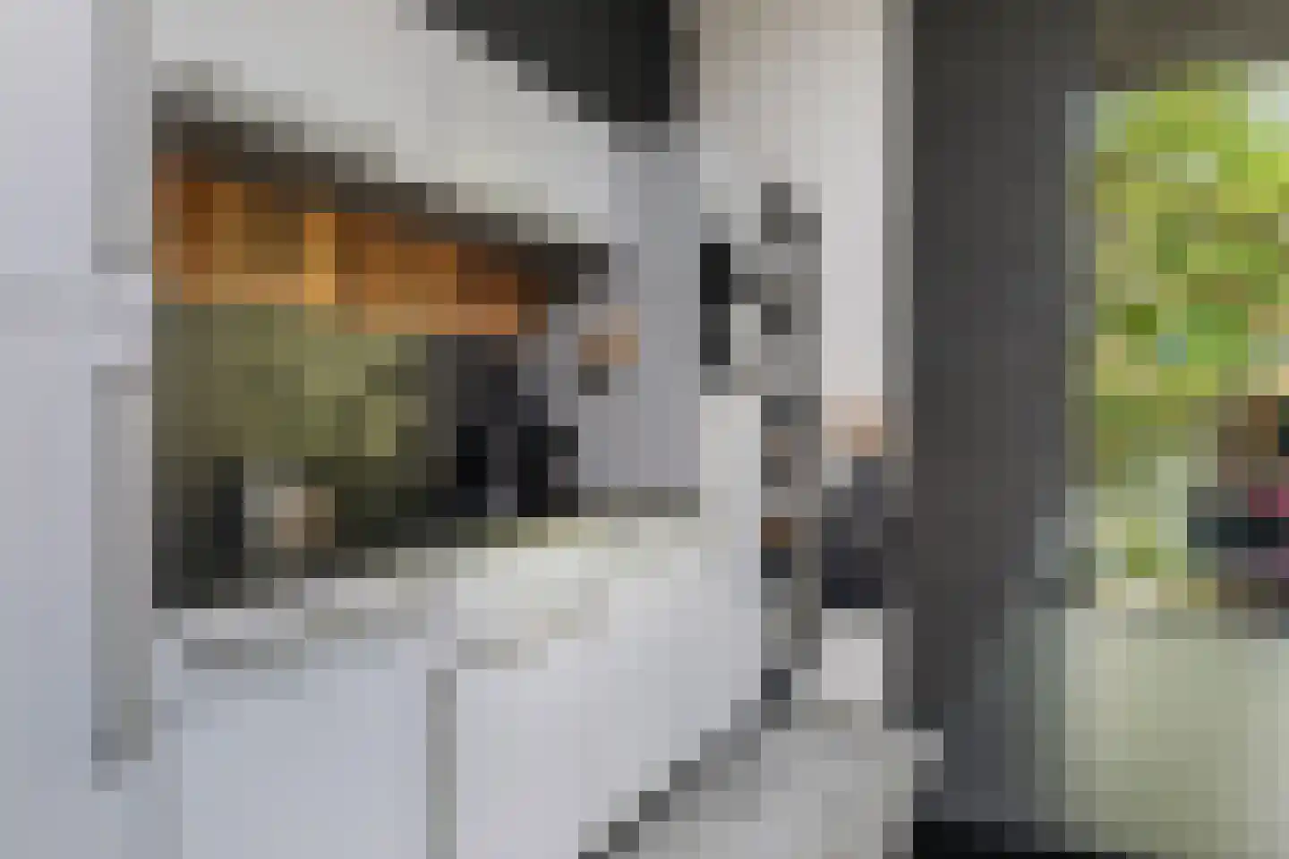 L.H. Pottstraat 7 Olst thumbnail 15