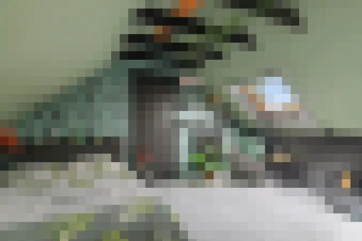 L.H. Pottstraat 7 Olst thumbnail 34
