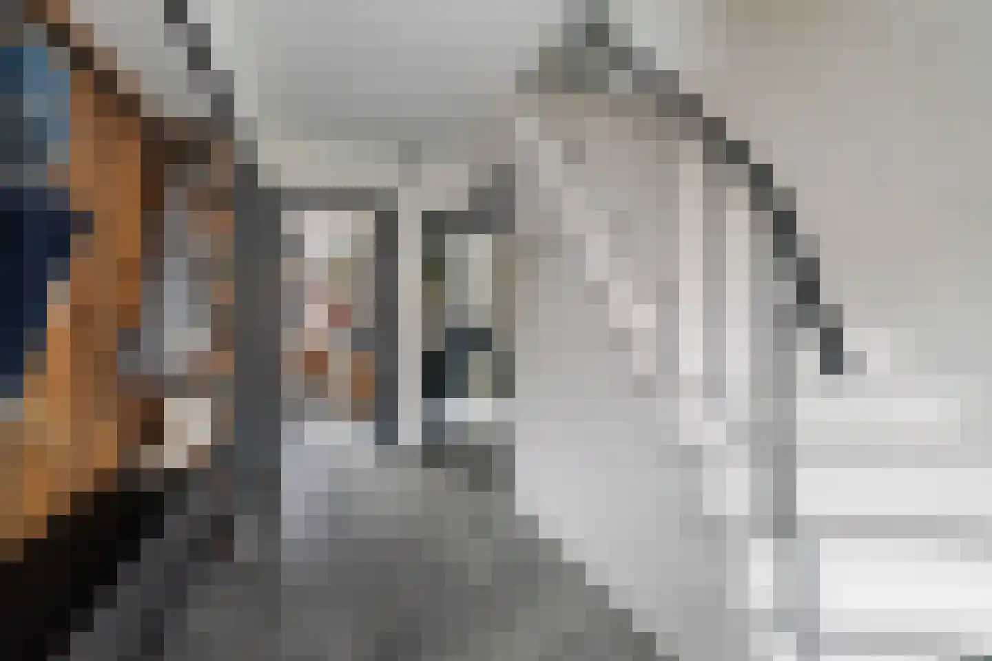 L.H. Pottstraat 7 Olst thumbnail 4