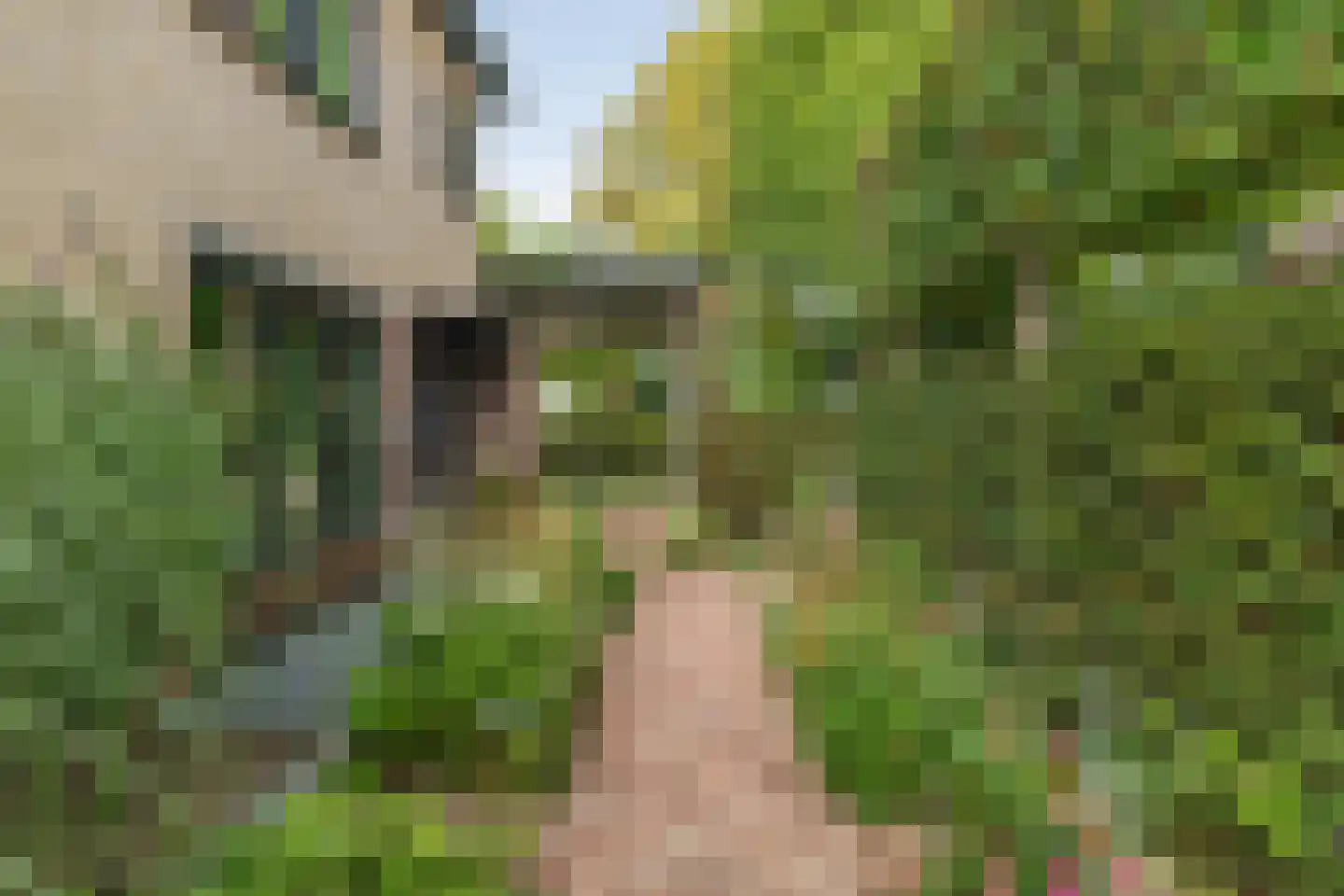 L.H. Pottstraat 7 Olst thumbnail 44