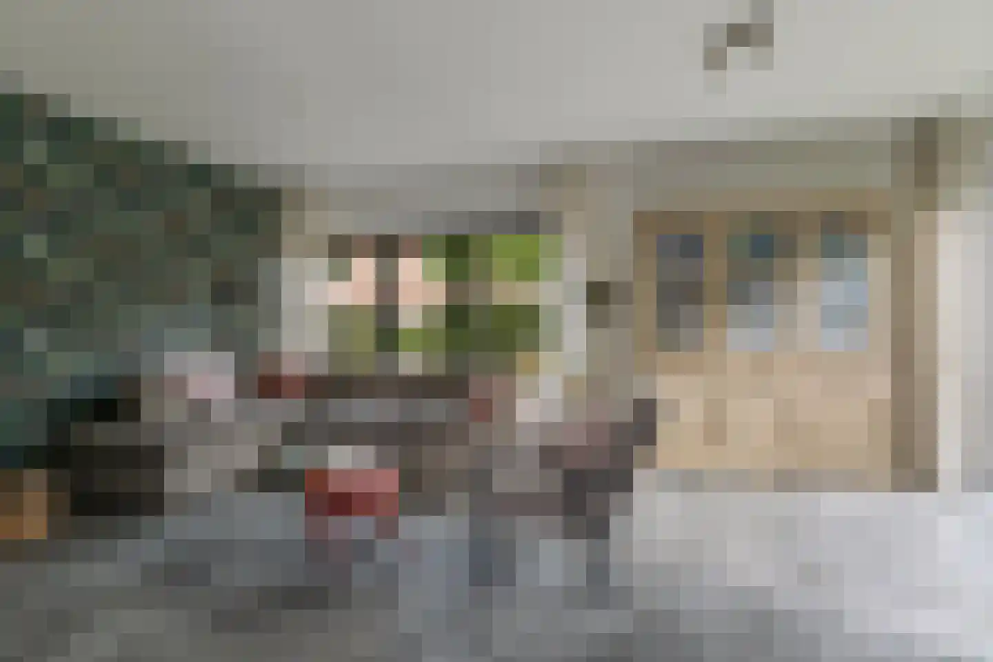 L.H. Pottstraat 7 Olst thumbnail 6