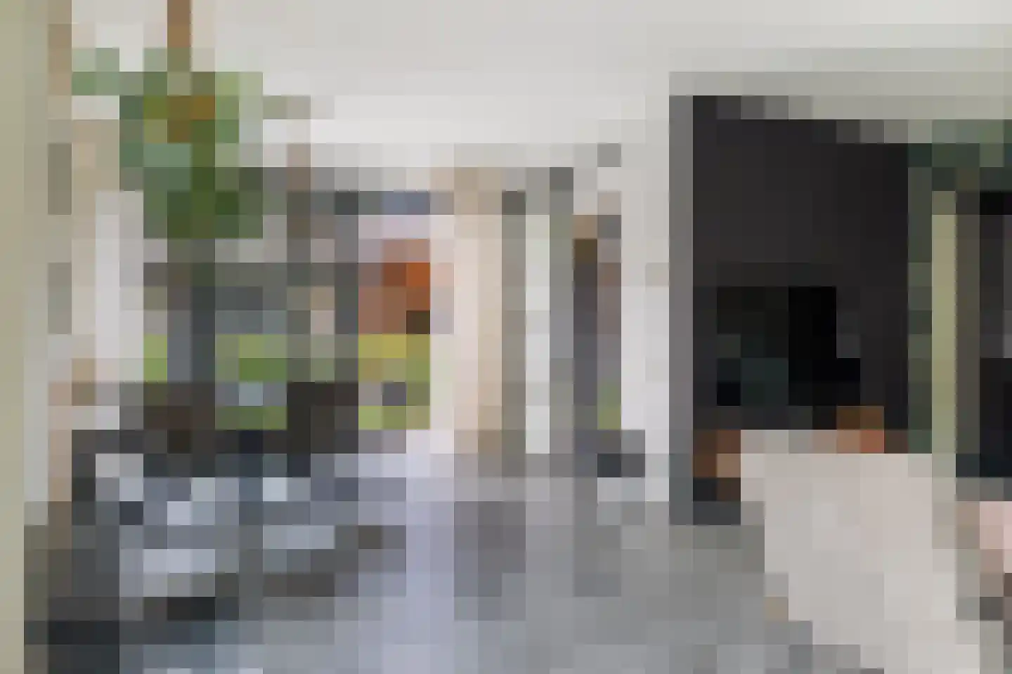 L.H. Pottstraat 7 Olst thumbnail 7
