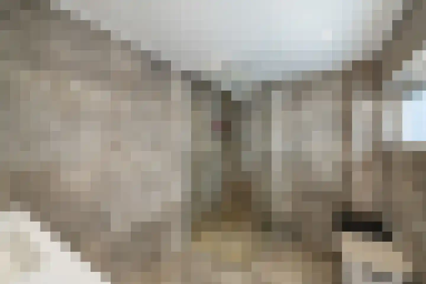L. Huismanstraat 24 Kampen thumbnail 17