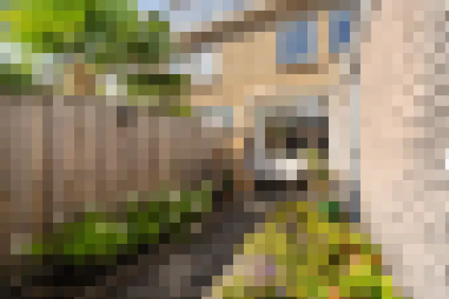 L. Huismanstraat 24 Kampen thumbnail 22