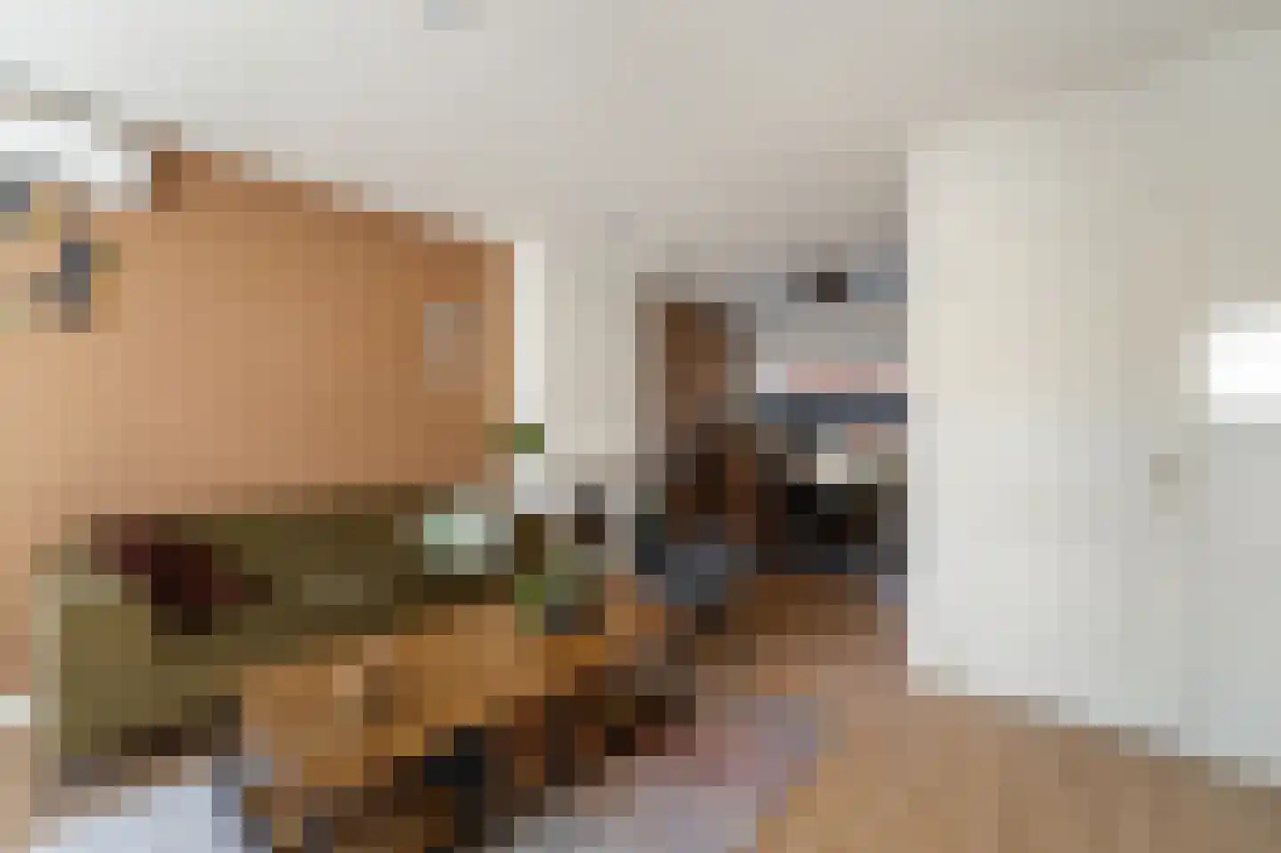 L. Huismanstraat 24 Kampen thumbnail 8